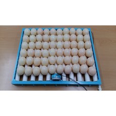 추천9 달걀 부화기 재료