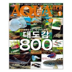 909d0fe10dc5c92cf8c7f8c4435395ea1cafdaf3432f15352de51912fc87.jpg