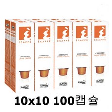 카피탈리시스템