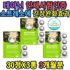 마음치료제