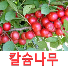 56c1e8420460a1283a472a9bbd0c230cb89c3cb333a2bbbb4c2b2e520025.png