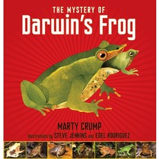 (영문도서) The Mystery of Darwin's Frog Hardcover, Astra Young Readers, English, 9781590788646