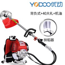048562fbf930d11858d3d695fe3f9807909295a9c7b8067f81c40a30b229.jpg