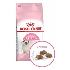 로얄캐닌키튼4kg