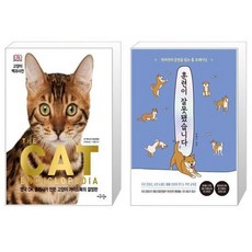 훈련이잘못됐습니다