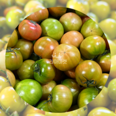 [산지직송]정품 인증 부산 대저 짭짤이 토마토 고당도 특품, 1개, 2.5kg(L)