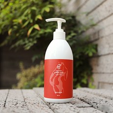 에버바이오 에버봄 슬리밍 봄엔폼 몸빼크림 480ml, 1세트