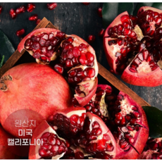 쥬스용 생 석류 햇 생과 대과 제철 주스용 미국 캘리포니아 프리미엄 2kg 5개, 1세트