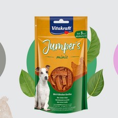 네오아카데미폼피츠캐릭터