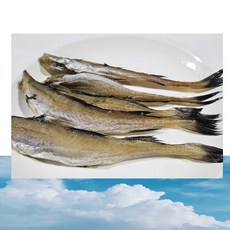 반건조 노가리 촉촉노가리 1kg 두절 명태 반건조노가리, 1개