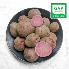 GAP 하동 핑크색 홍영 유황감자 (왕특) 1.7kg 외 / 홍영감자 2023년 봄수확 감자 빨간감자, 1박스