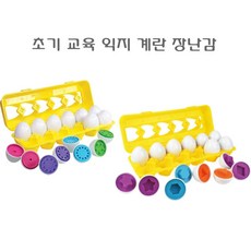 달걀매칭장난감