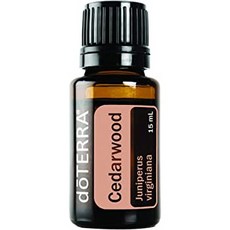 도테라시더우드