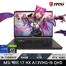 MSI 2024 벡터 17 HX 코어i9 인텔 13세대 지포스 RTX 4080