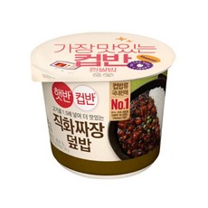 CJ제일제당 햇반 컵반 직화볶음 짜장덮밥, 280g, 10개