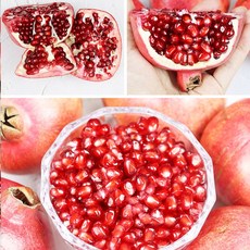 새콤달콤 풍부한 과즙 프리미엄 석류 2.5kg 5kg, 1개