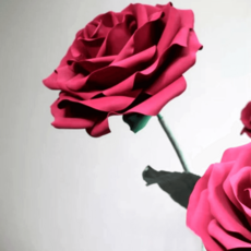  자이언트 플라워 만들기 꽃다발 종이 꽃 실크 플랜테리어 포토존 결혼식, B플라워80CM 