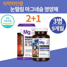 마그비감마