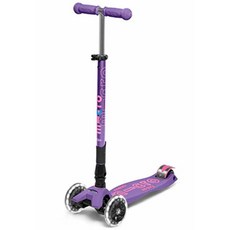 마이크로킥보드맥시디럭스