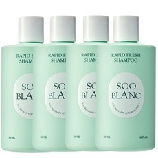 (고농축 탈모 샴푸) 수블랑 두피건강 비듬케어 탈모 샴푸 300 ml, 4개, 300ml