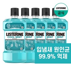 리스테린 구강청결제 쿨민트 250ml, 5개