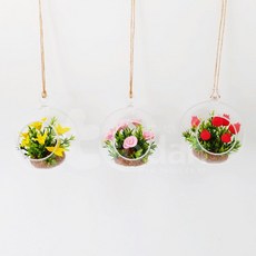 크로스핏1일체험