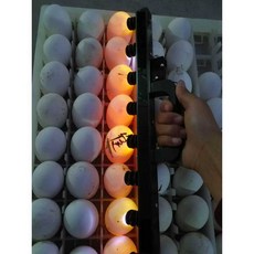 계란 조명기 신선도 선별기 확인 조류 양계장 라이트, 1개, 6매