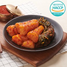전라도 곡성 아삭아삭 총각김치 2kg/전라도김치