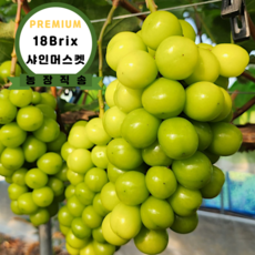 [프리미엄] 18Brix 고당도 씨없는 샤인머스켓, 1박스, 1kg(2-3수)