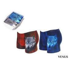 비너스남자속옷세트