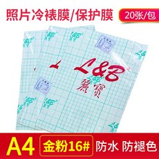 필월드lut66인치필름