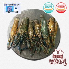 (배터짐) 업소용 민물가재 16-20미 크레이피쉬, 10개, 800g
