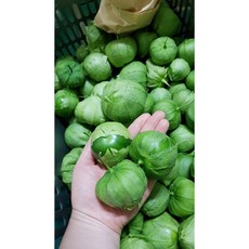 국내산 토마티요 토마틸로 또마띠요 Tomatillo 살사베르데 1kg [원산지: 국산(경기도 김포시)], 1개