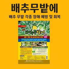 //상품명