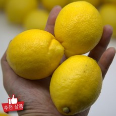 마켓파머스 직수입 레몬 생과 팬시레몬 중소과, 20개, 1개 100g 내외