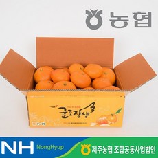 맛있는 농협 제주 귤로장생 레드향 3.5kg, 없음