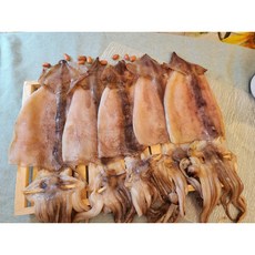 반건조 오징어 피데기 사이즈 다량보유, 1개, 1.8kg(10미)
