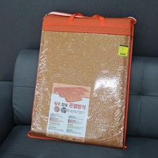 우진전기방석