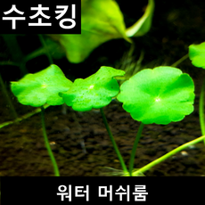 4ac9d7fd86b6ed1ab96e85138becb1b6f7b9fed36109e823e78ef209c4b2.png