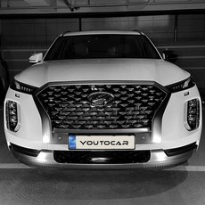 팰리세이드어라운드뷰