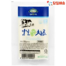 (당일배송) 임실치즈농협 생 모짜렐라 치즈 (500g 1kg), 500g, 1개