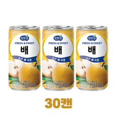 참맑은 배 (업소용) 가성비 미니캔, 30개, 175ml