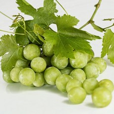 8fc946259be692240fda70c115f2bfb9f19bdcb10f882574109697d6e62b.jpg