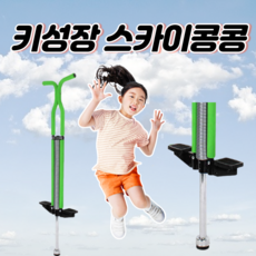 초딩스카이콩콩