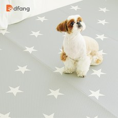 티엔즈팡