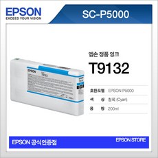 엡손p5000