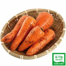 100%국내산 친환경 뿌리채소 유기농당근(친환경 5kg 무선별), 1개