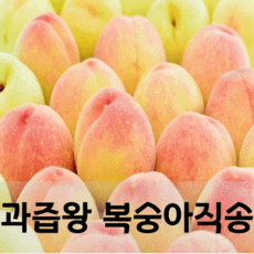 경북영천복숭아