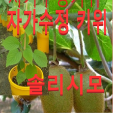 df2c0dc7ec268b754c84e35a8dbdced8a4e2fadc87f5daa42b06e951315f.png