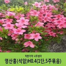 49abb47ee7dd7e7bfc16a0b5264da6b706e9eccd82af1bf599ea43eac59a.JPG